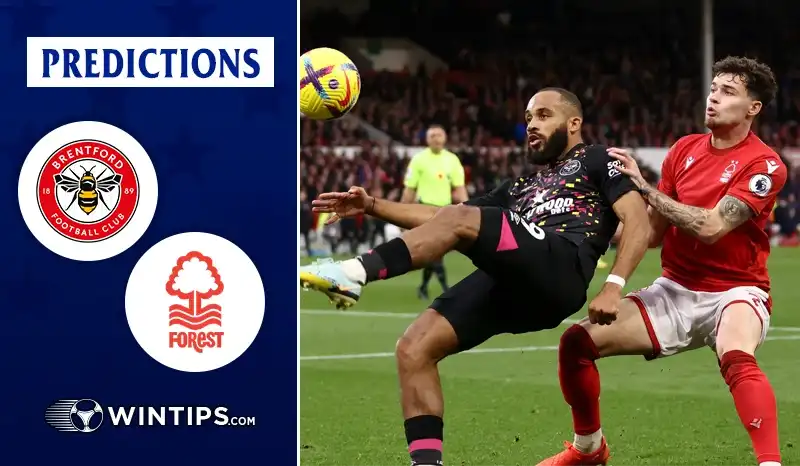 brentford-vs-nottingham-forest-prediction-odds-lineups-h2h-results-and-betting-tips-01-25-2026