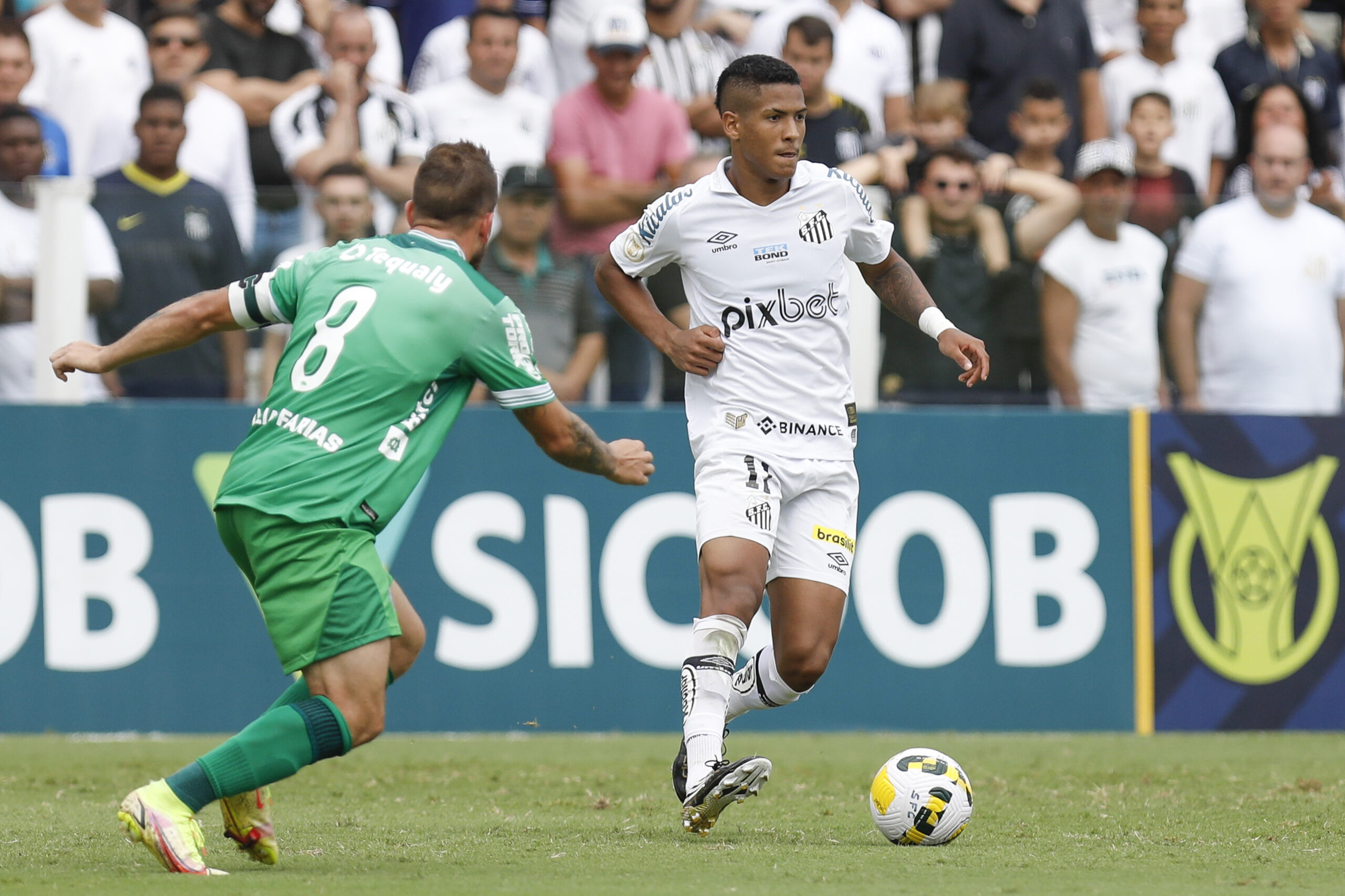 Santos v Coritiba - Brasileirao 2022
